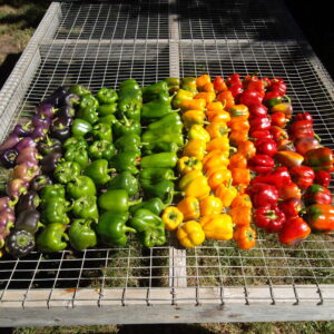 Peppers