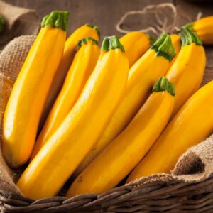 Squash